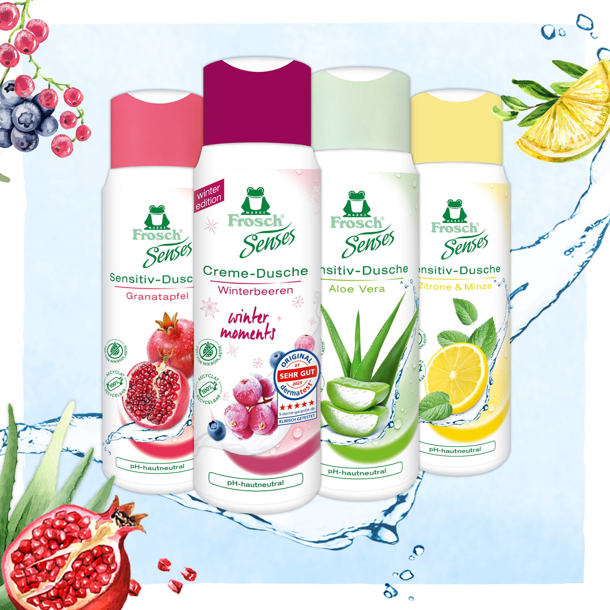 Frosch Creme-Dusche Winterbeeren